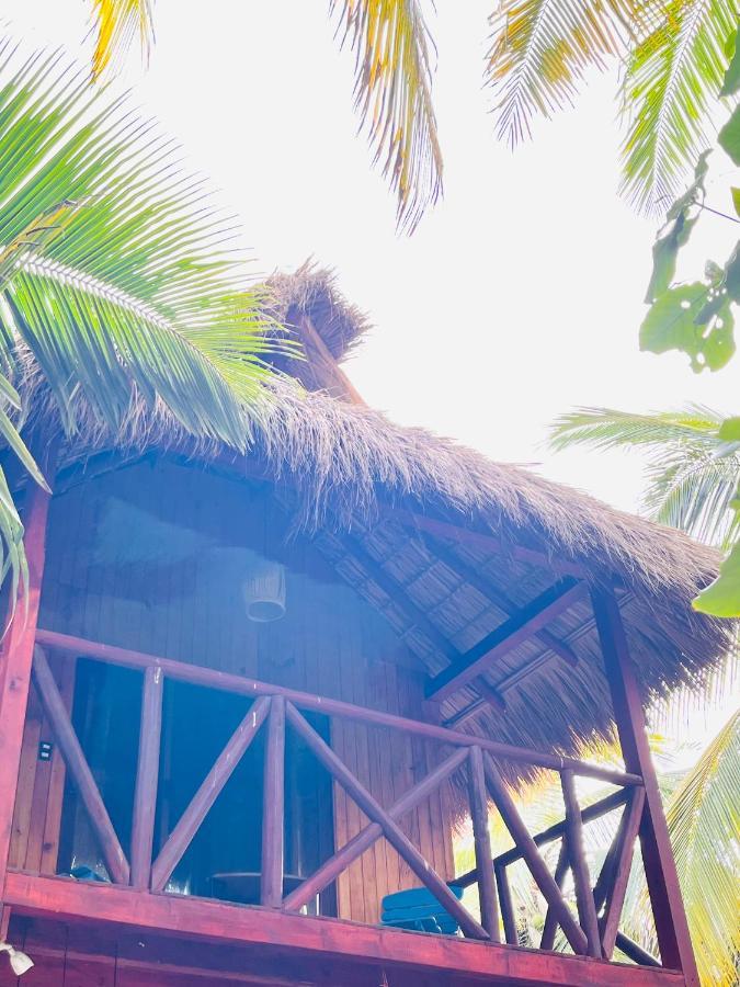 Blue House Hotel ปูแอร์โตเอสกอนดิโด ภายนอก รูปภาพ